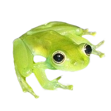 Glassfrog VIP Adventures logo