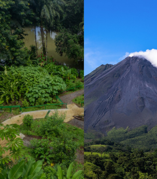 Image showing Arenal Volcano and a rainforest setting.
