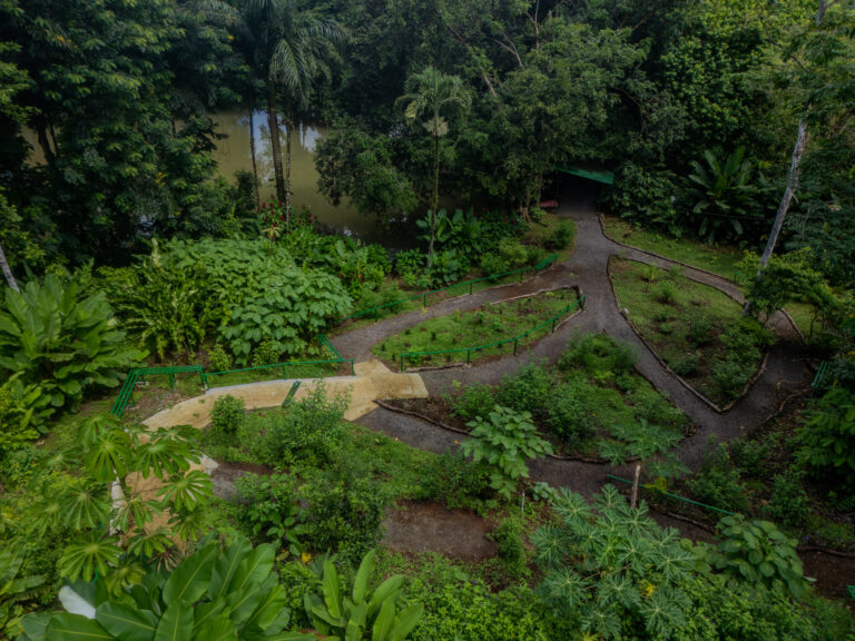 Person viewing wildlife like sloths and monkeys in the Green Eco Park.