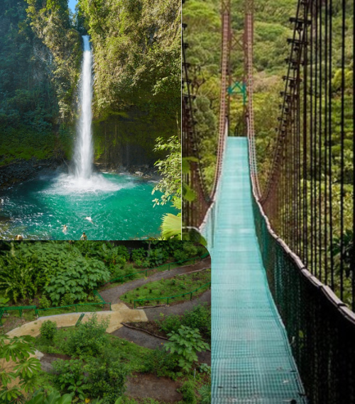 View combining a bridge, waterfall, and rainforest walk.